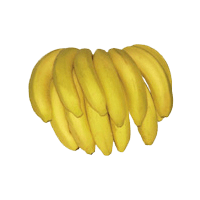banana-nanica1
